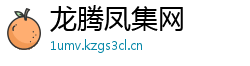 龙腾凤集网